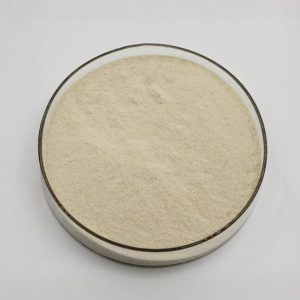 Xanthan Gum